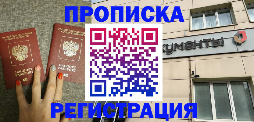 прописка в Киселёвске